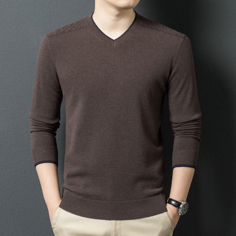 Men's 100% Pure Wool V-Neck Sweater