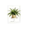 Elegant Wall Mounted Plant Support White Metal Flower Shelf For Inside Outside Home Garden Deck