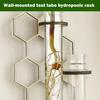 Wall Propagation Station Wall Art Plant Terrarium Flower Vase Wall Decor Rack Honeycomb Propagation Station Plant Test Tube Home