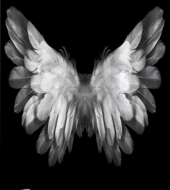 

3D цифровая печать дешевые современные крылья ангела черно-белые затенения 2 панели оконные шторы для спальни гостиной домашнего декора 140W160H(CM)55x63in&Rod Pocket