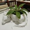 3D Printed Dragon Shaped Plant Pot Growing Pots Jewelry Storage Tray Flower Pot  For Yard Garden