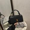 Autumn New Portable Shoulder Bag Light Luxury Messenger Niche High Value Commuter Women's Bag