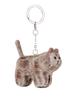 SOFTTHUMBNAIL Moca, British Shorthair