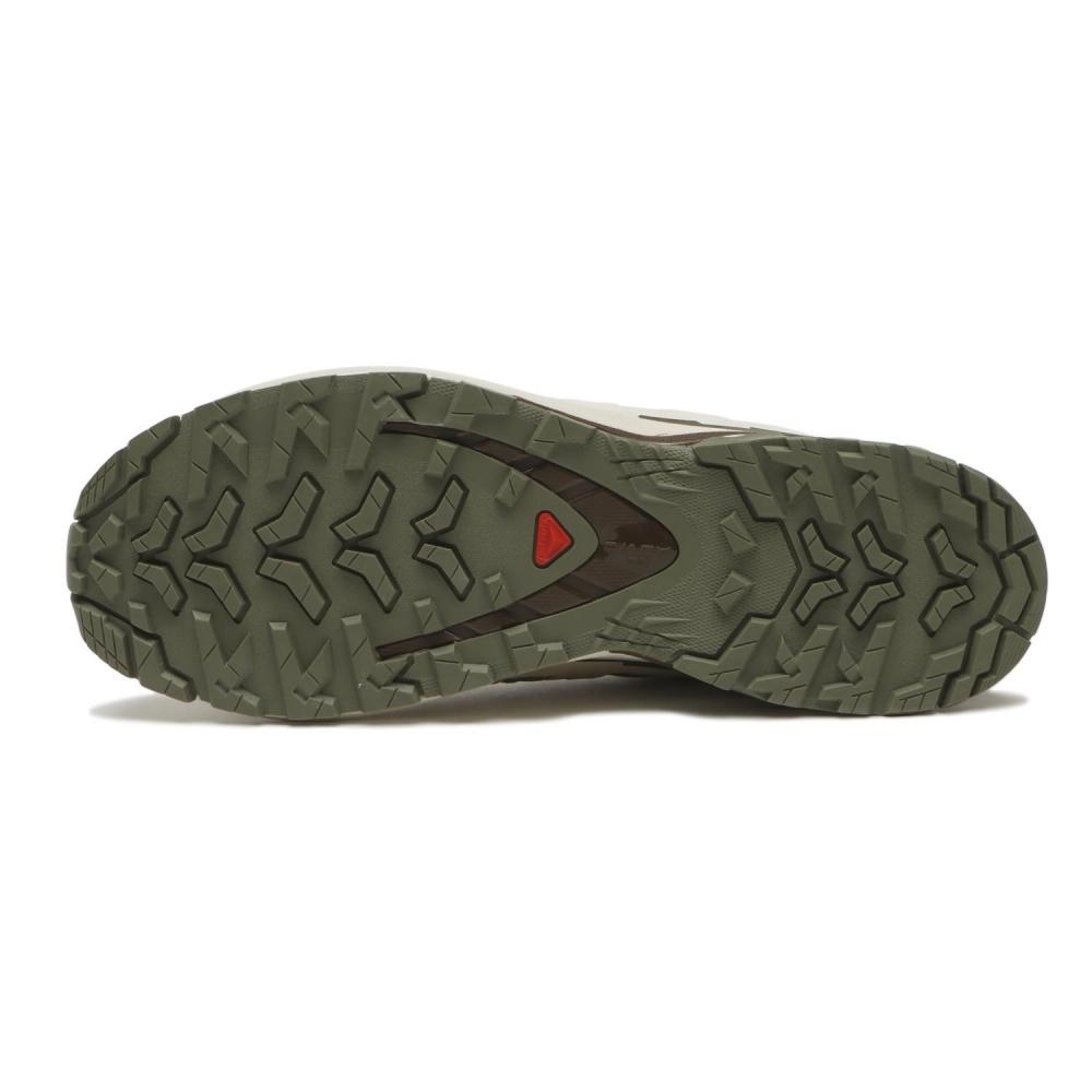 Salomon Xapro 3d V9 Gore Tex L47820200 Deep Lichen Gre