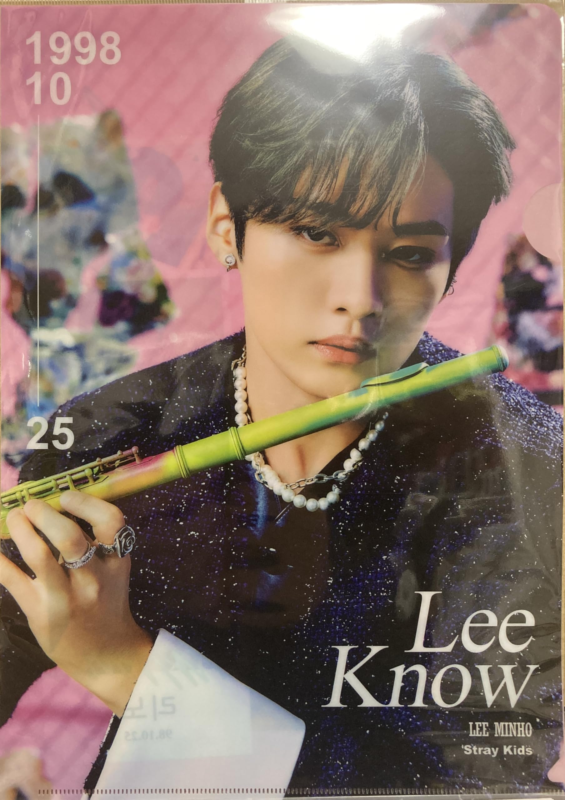 

SKZ Reno Goods A4 Прозрачный Файл Корея Прозрачный Дети (Бродячий LEEKNOW) [Элемент]