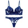 Embroidery Mesh Thong & Bra Set - Sexy Lingerie Dress 300A