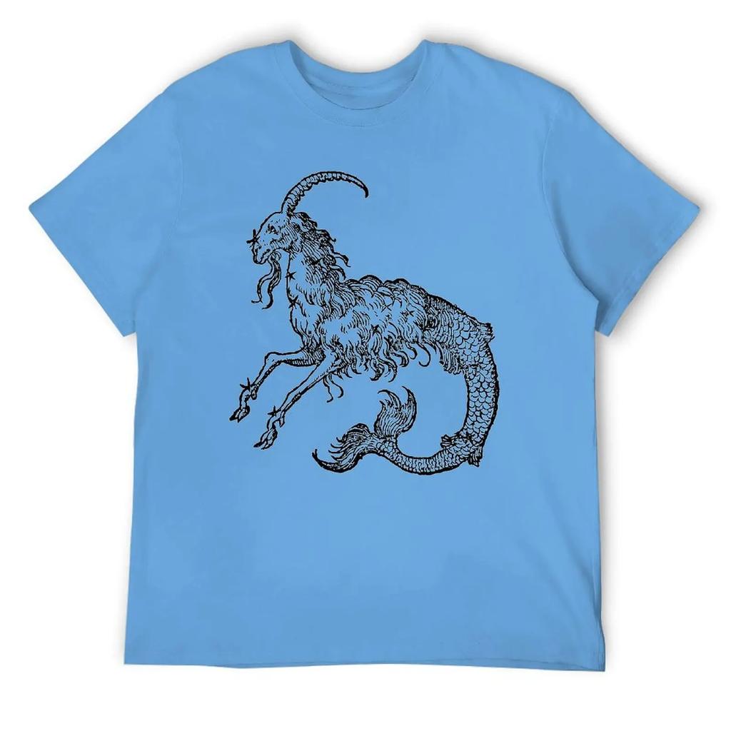 Capricorn Twelve Constellation (4) T-shirt Harajuku Move Tshirt Vintage Home Funny Novelty USA Size