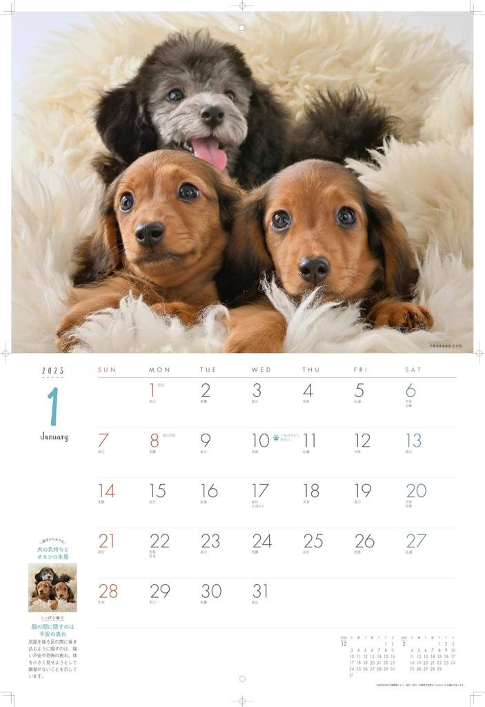 Dog Feeling Large Calendar 2025
