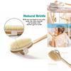 Durable Wooden Long Handled Body Brush Perfect For Dry Skin Brushing And Exfoliation