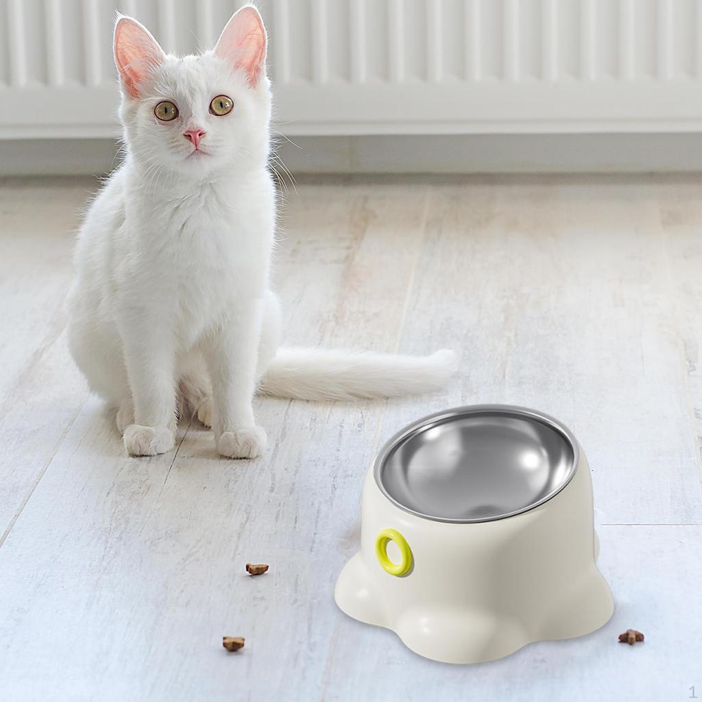 Tilted Cat Feeder Bowl Water Feeding Dish Food Dispenser for Small Dogs