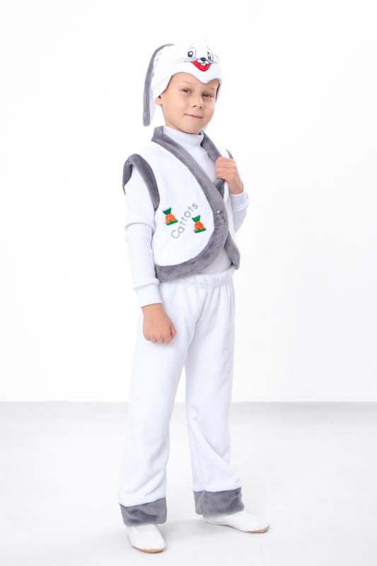 Carnival Costume (Boys) Winter 7031 HC