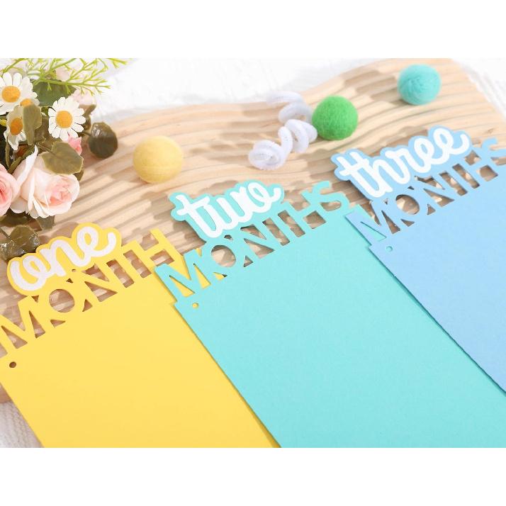 Rainbow Girls 1st Birthday Decorations - Colorful 1 To 12 Months Photo Banner,Newborn Monthly Milestone Photos,Baby Girl First Year Rainbow Themed