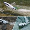 non-toxic Rc Boat 30Km/h High-Speed Rc Speedboat S2 2.4G Remote Controlled Boat Electric Twin Turbojet Radio Control Toys children Water Toy