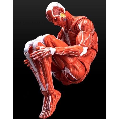 LEBOO KEEPGOING 1/12 Scale Male Action Figure Body, Muscular, Articulated, Red