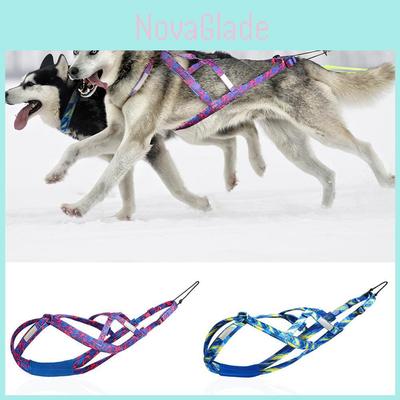 Pet Chest Harness With Retractable Nylon For Outdoor Activities And Walking