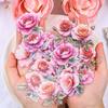 30 Pcs of Flowers and Plants Pattern Stickers, Suitable for DIY Scrapbook and Tent Decoration Fun, Creative Stationery Stickers