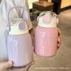 316 Stainless Steel Insulated Tumbler, High-Aesthetic Portable Cup, Compact Simple Water Bottle, New Trendy Design for Home Office Outdoor