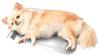 Dog and Cat Spacious Cool Aluminum Pillow Seat SSX M