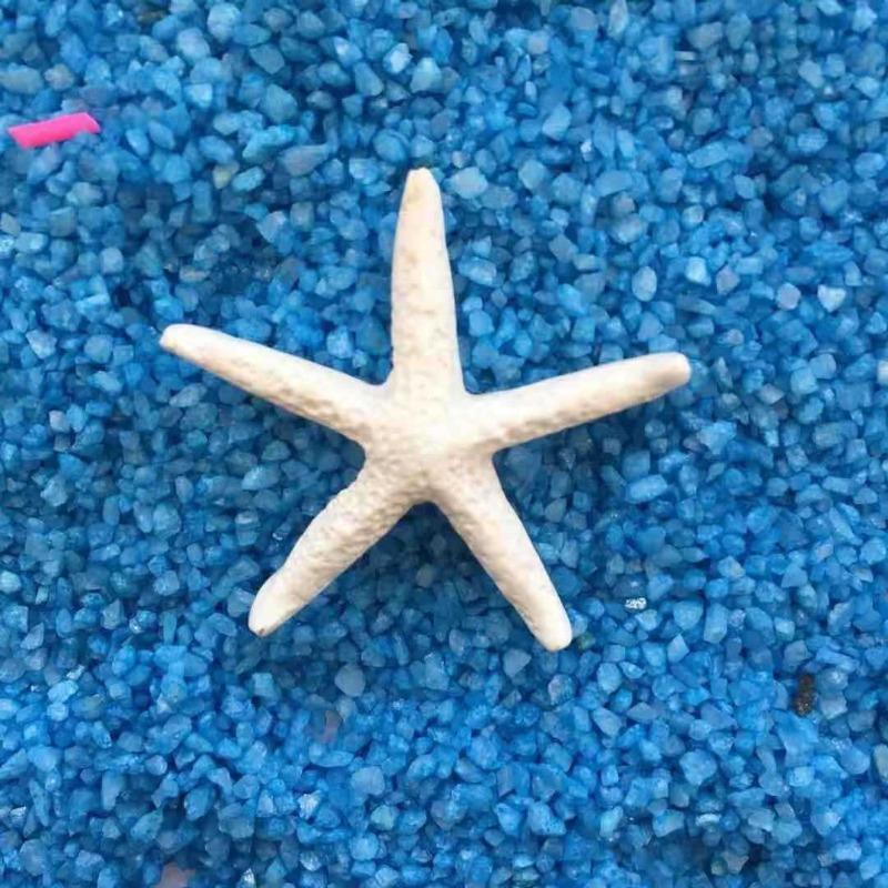 Stelle marine in resina Articoli decorativi per acquario in stile mediterraneo