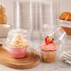 Individual Dessert Packages in Clear Plastic with Hinged Domed Covers and Fold-Over Fasteners for Takeout Display