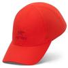 Arcteryx Bird Word Cap 25fw Le1220403889