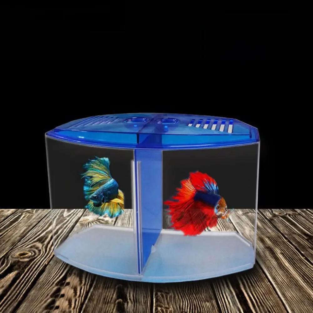 Transparent Betta Fish Tank Plastic Single/Double Grid Double-grid Betta Isolation Box Betta Isolation Box with Water Grass