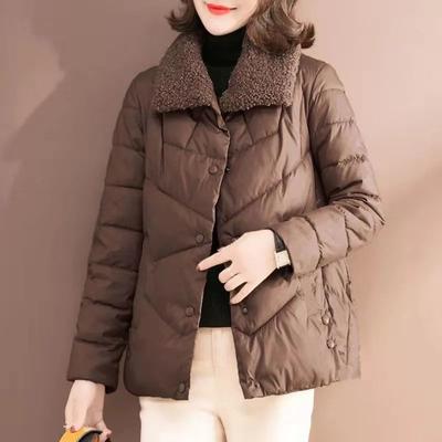 Veste en Coton pour Femme Nouveau Style Court Laine d'Agneau Col Montant Veste Légère et Tendance