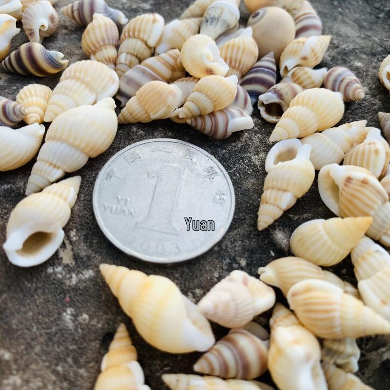 Раковина рака-отшельника из натуральной раковины конха ручной работы для креативного украшения аквариума