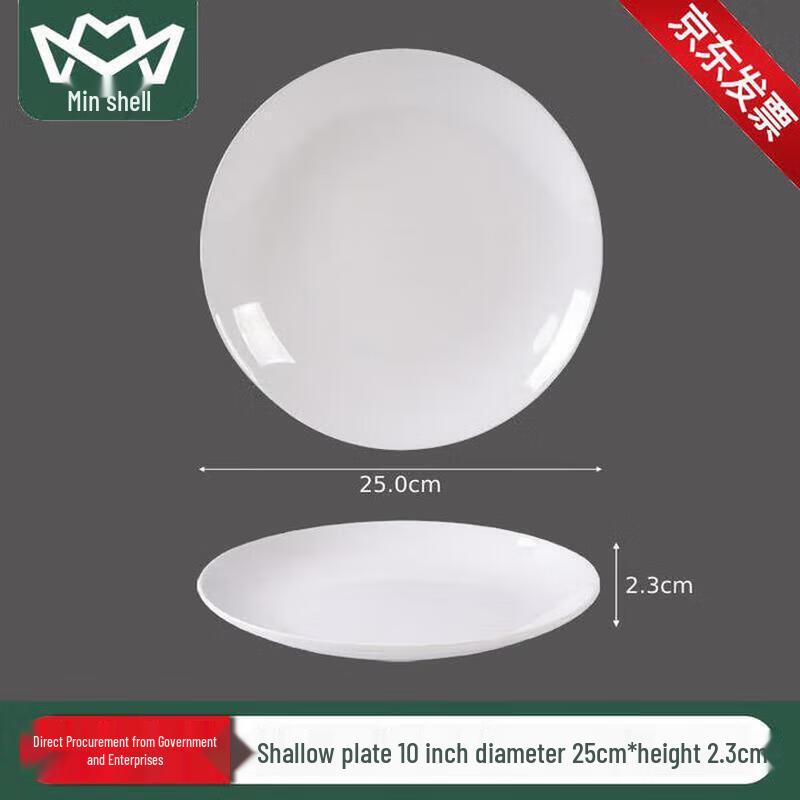 Minimalist Pure White Ceramic Dining Plate