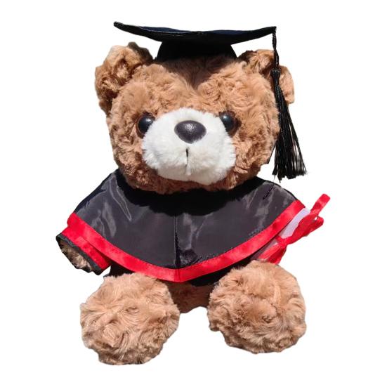 Personalized Graduation Bear Doll 2026 for Her, Soft Plush Teddy with Embroidered Gown, Class of 2026 Graduation Gifts for College High School