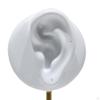 2 ear shaped Stud Holder Round Base Model Photography Prop Gifts Earring Display Stand for