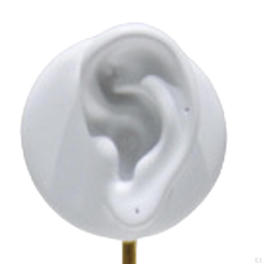 2 ear shaped Stud Holder Round Base Model Photography Prop Gifts Earring Display Stand for
