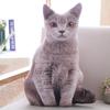 3D/35cmCat Figures Pillows Soft Simulation Cat Shape Cushion Sofa Decoration Throw Pillows Cartoon Plush Toys Friend Kids Gifts