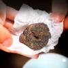White tea Shoumei Aged Tea Cookies Weight Loss Slimming Tea Cake 50g