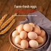 Hsu Fu Chi Mixed Snack Bundle