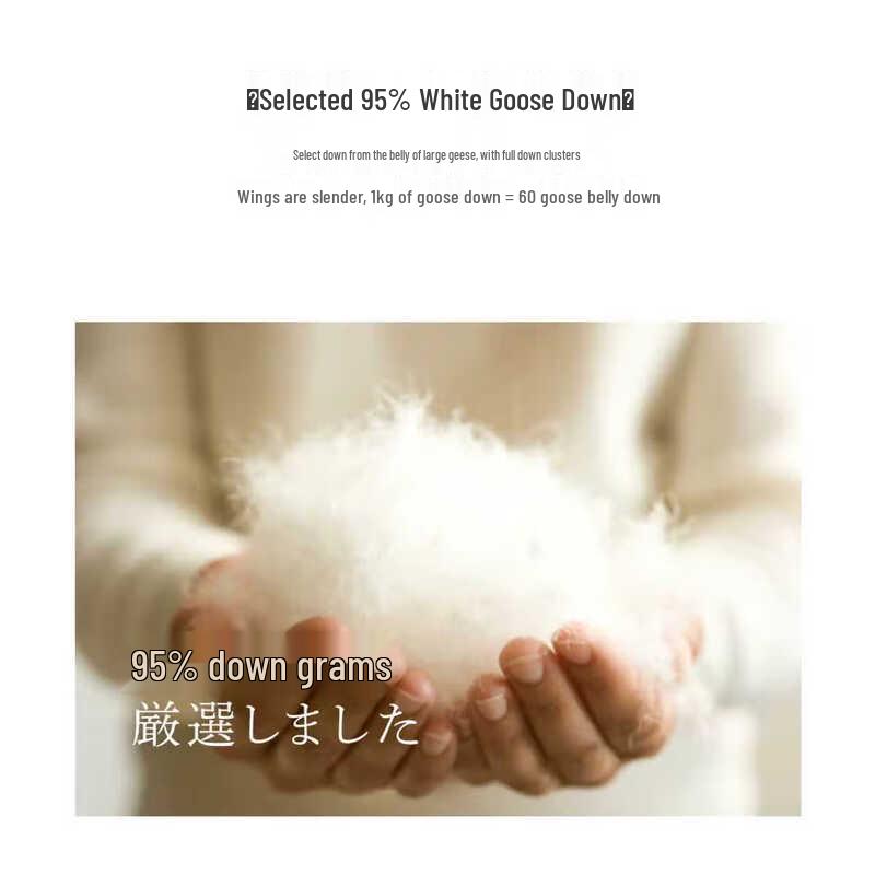 Interlagos Ergonomic 95% White Goose Down Duvet (Japanese Import)