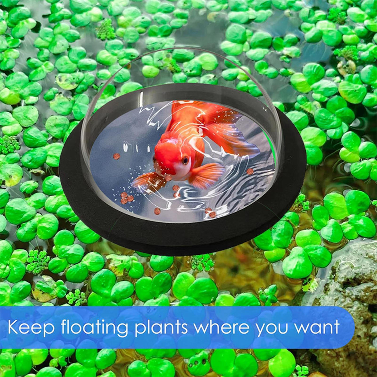 

Dome Aquarium Floating Plant Corral Pond Fish Viewing Pool Decorative Round Tank Supplies