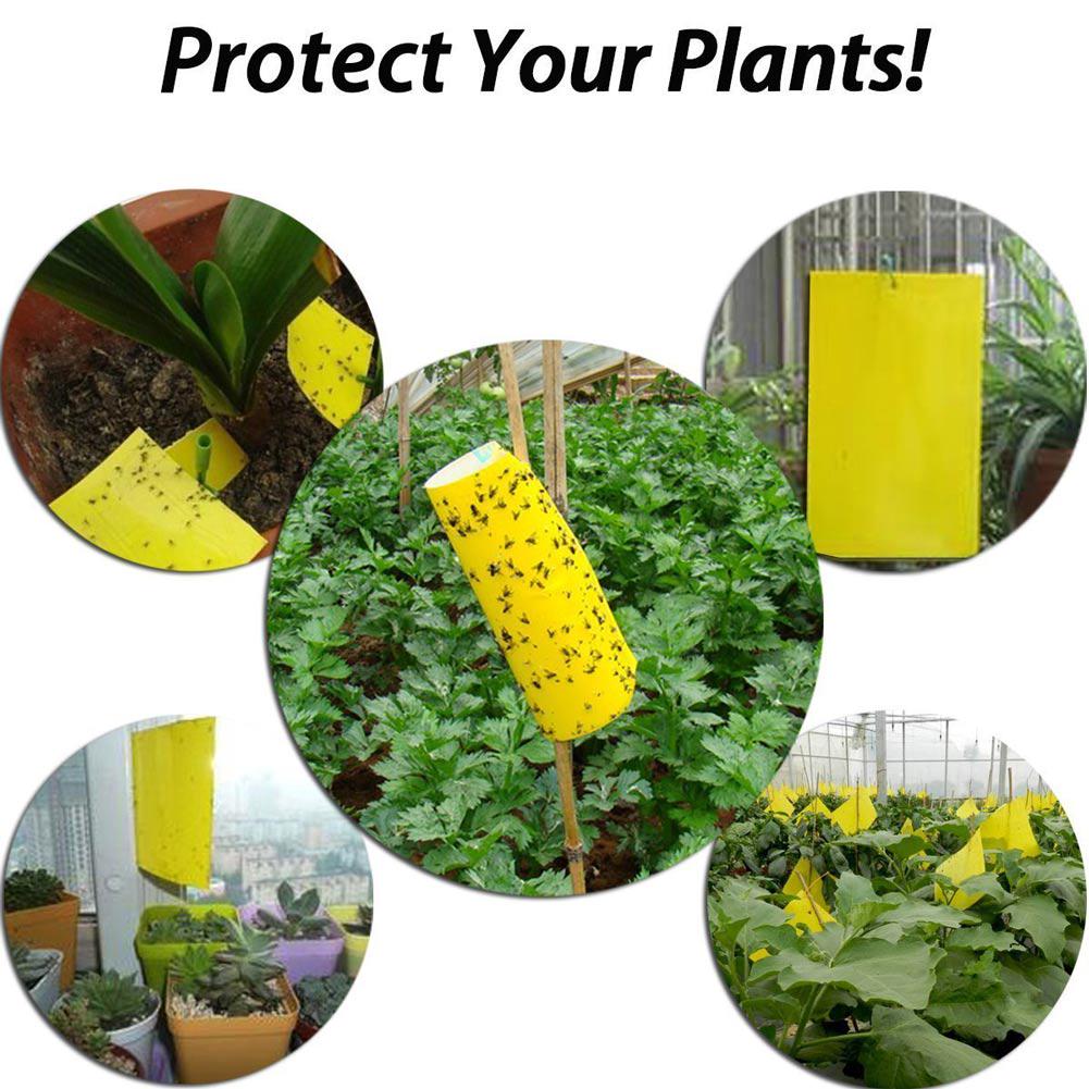 20pcs Sticky Traps Yellow Dual-Sided Paper Sticker For Flying Insect Bugs Flies Whiteflies