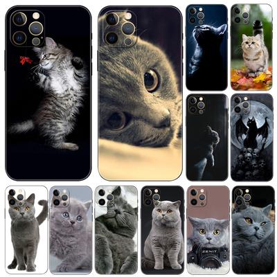 Graue Katze Handyhülle für iPhone Samsung Galaxy Redmi Xiaomi Oppo OnePlus Note SA 7 8 9 10 11 12 13 14 20 21 22 23 53 54 Pro Max Plus Ultra TPU Soft
