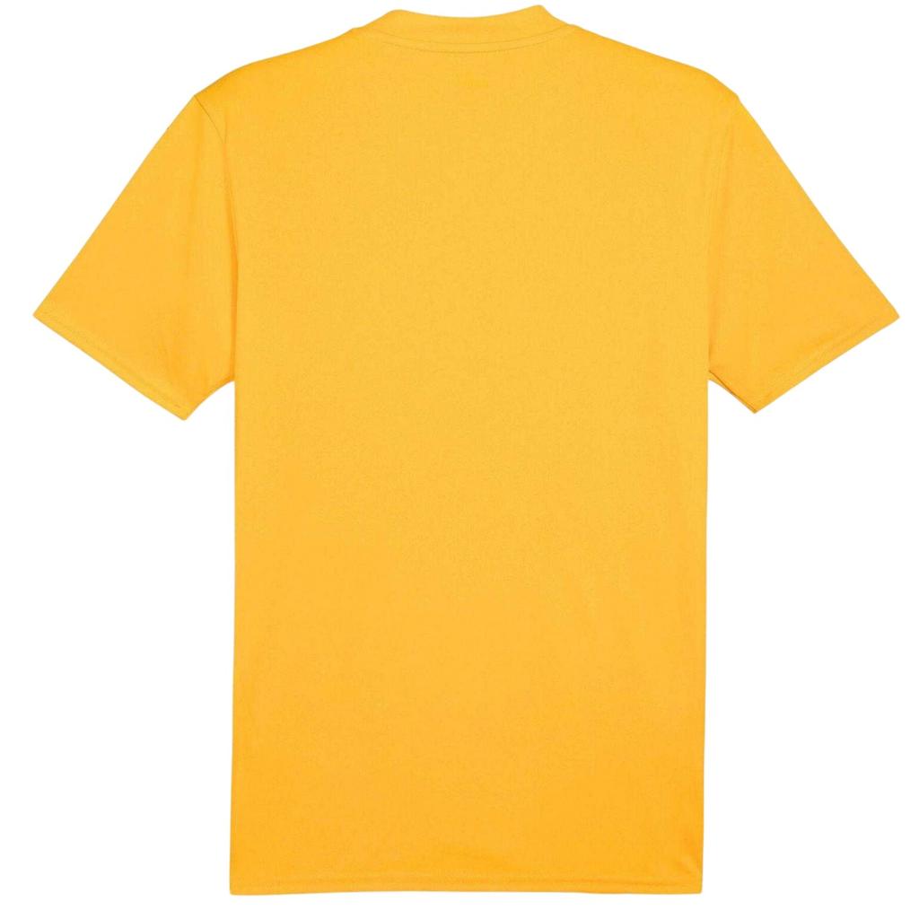 Puma Mens Teamglory Jersey T-Shirt