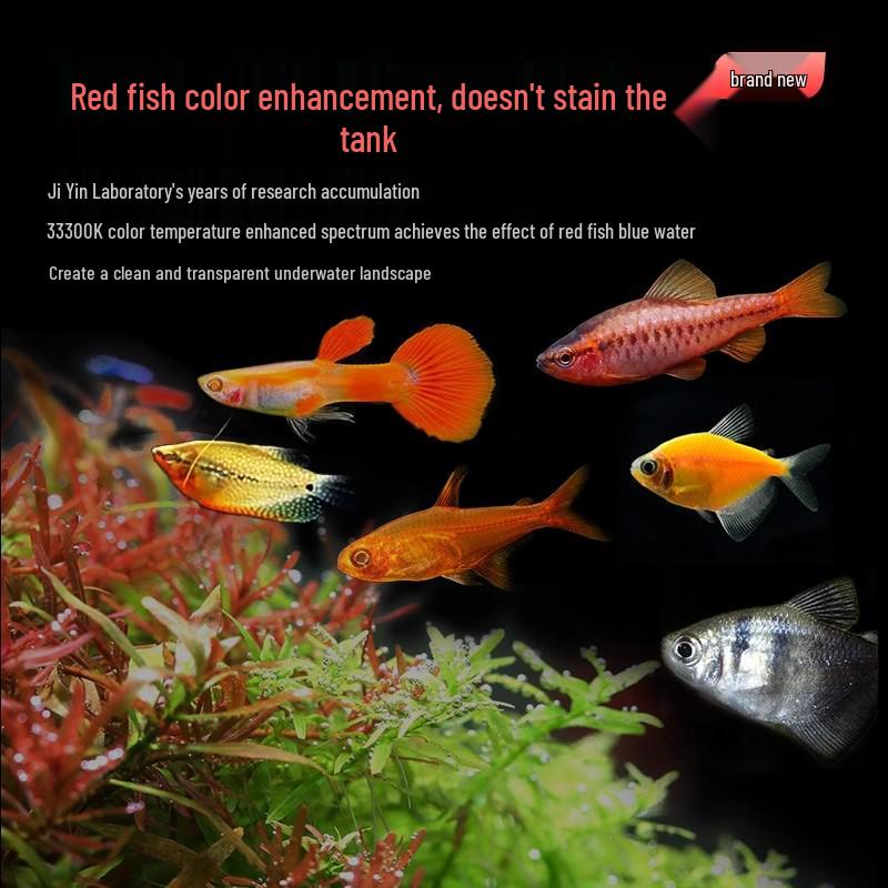 Ji Yin Waterproof LED Light for Native Fish Tanks, Algae Control, Submersible Stream Tank Lighting