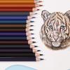 1 Set Oil-based Stationery Pencil 12/18/24/36/48 Colors Color Pencils Painting Pencil Set  Prize