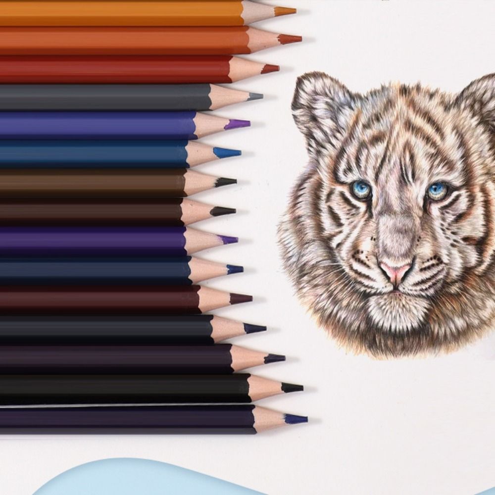 1 Set Oil-based Stationery Pencil 12/18/24/36/48 Colors Color Pencils Painting Pencil Set Prize