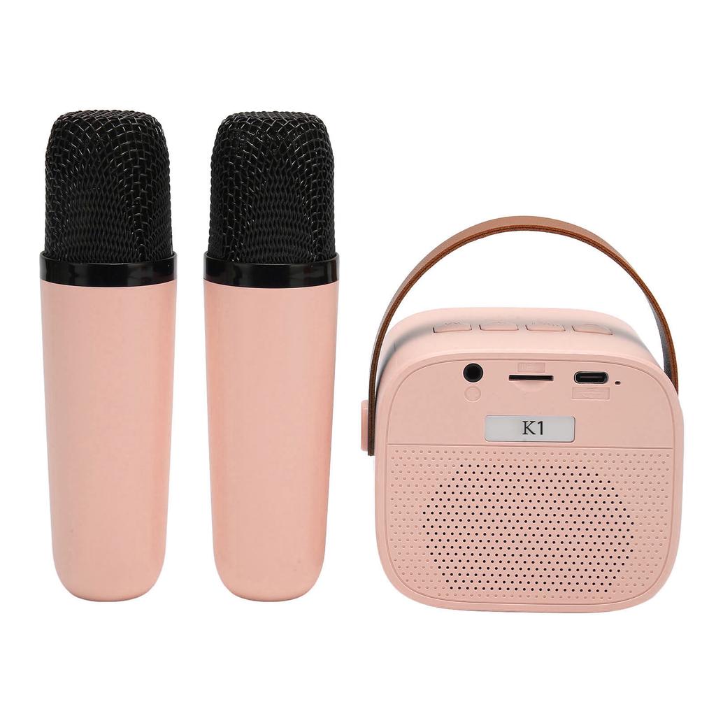 Karaoke Machine Multifunction Stereo Sound Portable   Speaker with 2 Wireless Microphones for Home Party KTV