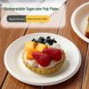 Minnai Disposable Bagasse Pulp Plates and Bowls