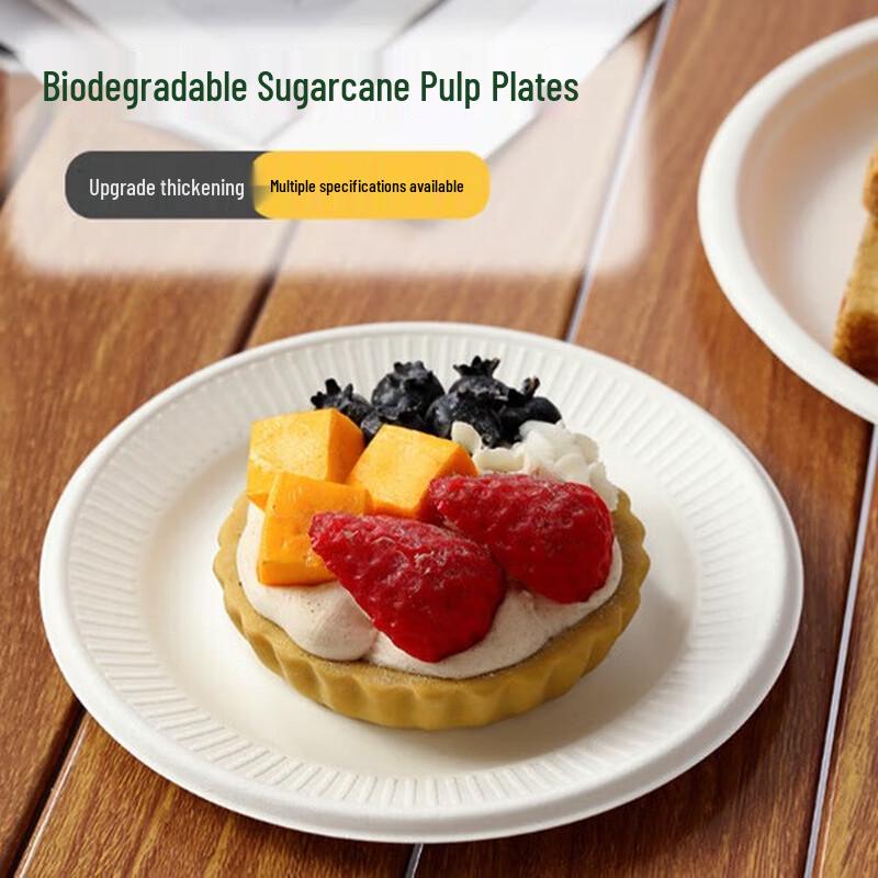Minnai Disposable Bagasse Pulp Plates and Bowls