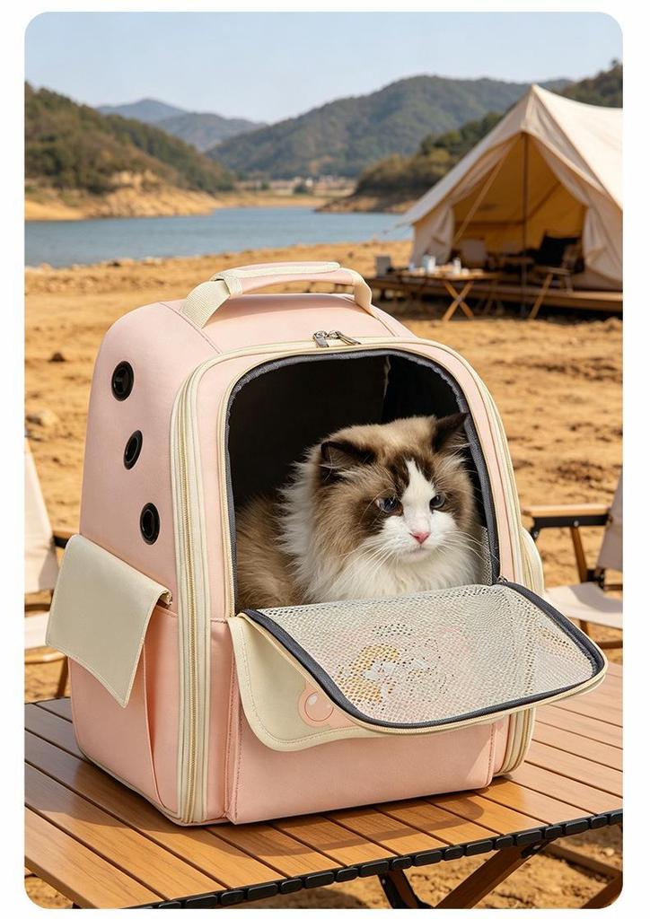 Sweet Style Breathable Summer Pet Carrier Backpack for Cats