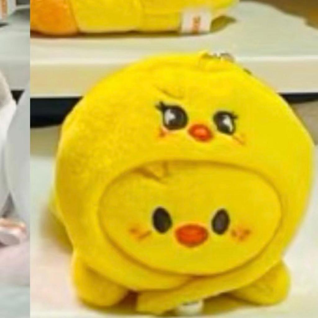 [USED] Skzoo Key Ring LYING Pogari SKIZZ Pop-up Felix