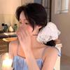 Lace Mesh Scrunchie: Women's Hair Tie & Headband Accessory