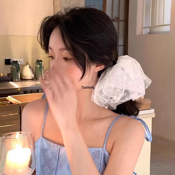 Lace Mesh Scrunchie: Women's Hair Tie & Headband Accessory